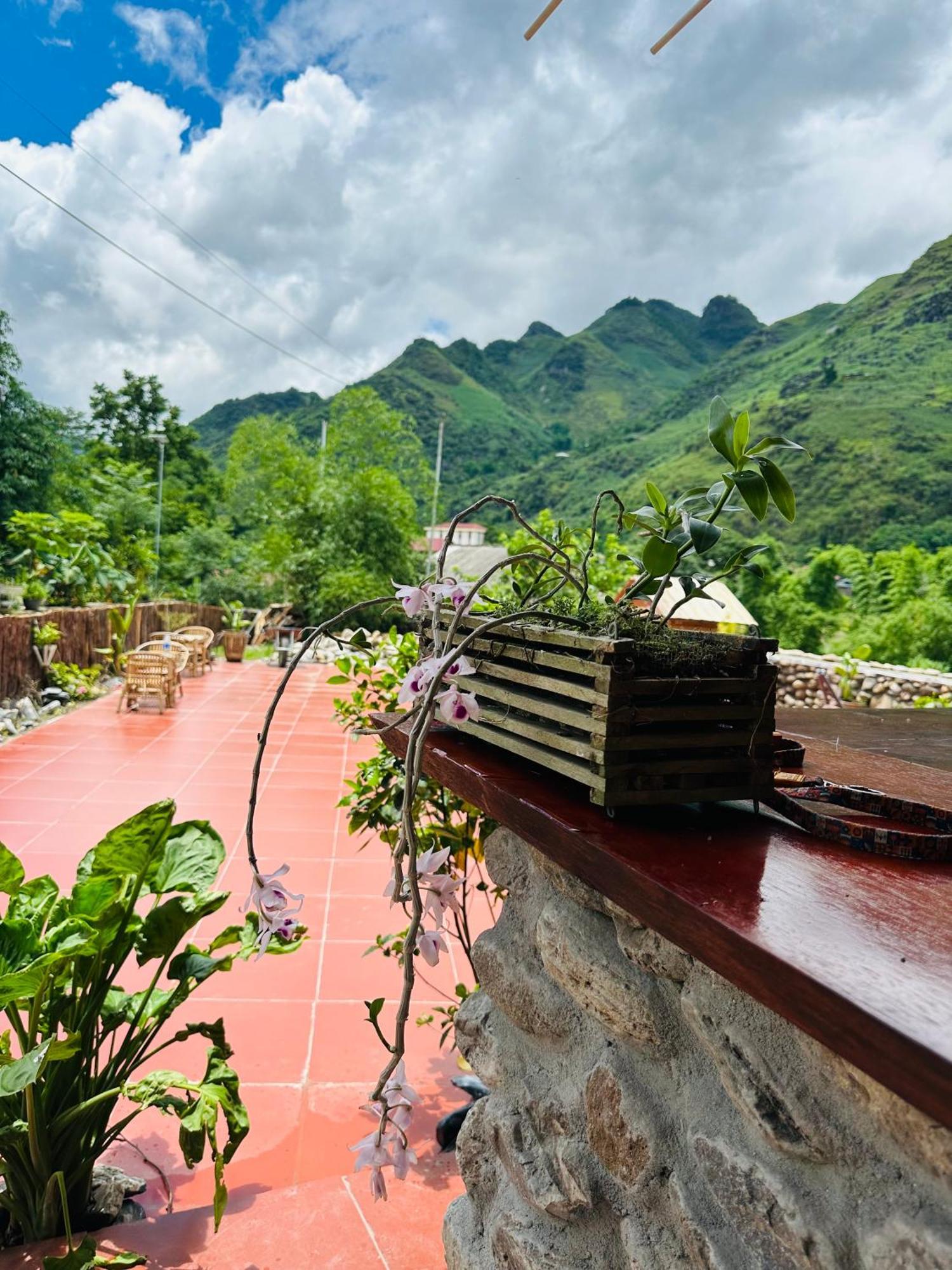 Wild Orchid- Lan Home Làng Cac Exterior foto